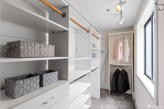 229 8th St Unit 3, San Francisco, CA 94103 - walk in closet with light carpet
