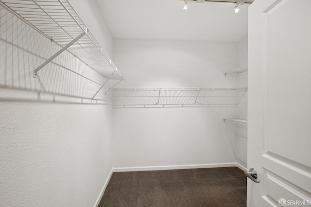 spacious closet featuring dark colored carpet