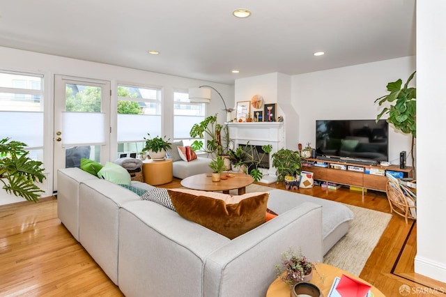 living room with light hardwood / wood-style floors