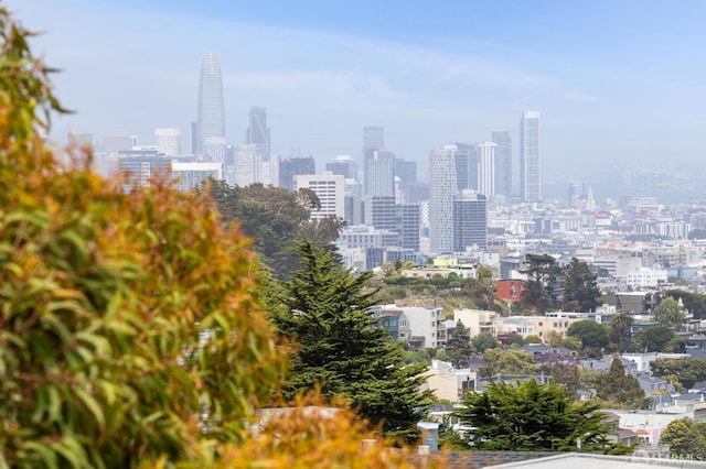 392 Corbett Ave, San Francisco, CA 94114 - skyline view