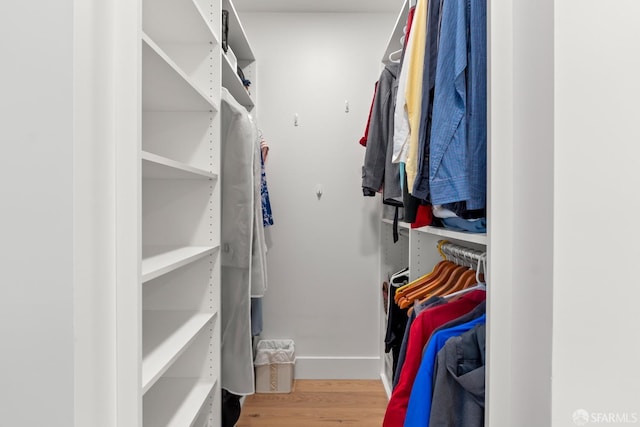 spacious closet with hardwood / wood-style flooring