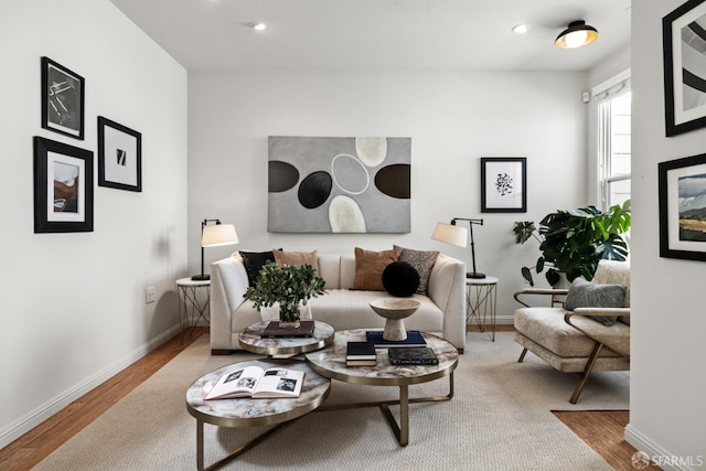 living room with hardwood / wood-style flooring