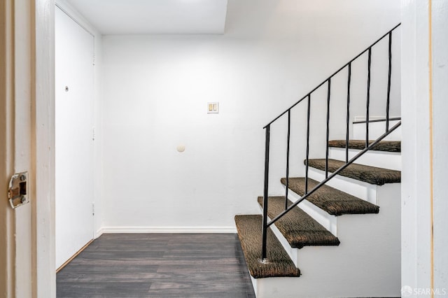 stairway with hardwood / wood-style floors