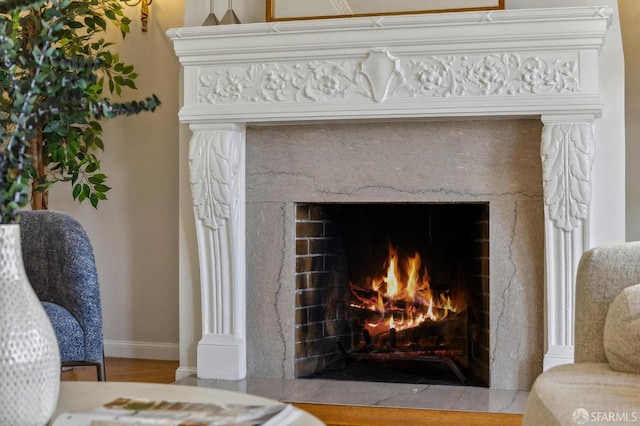 detailed view of a premium fireplace, baseboards, and wood finished floors