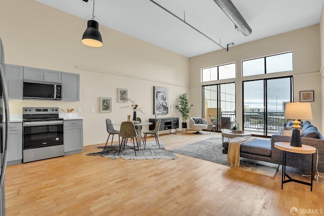 living room with a high ceiling and light hardwood / wood-style floors