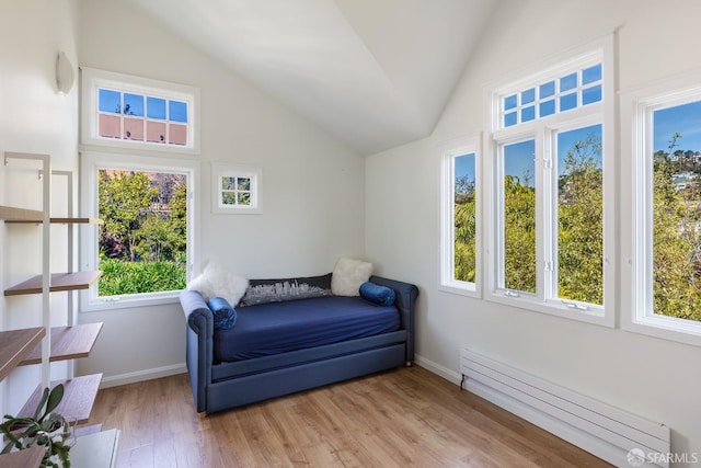 living area featuring a wealth of natural light, a baseboard radiator, and lofted ceiling