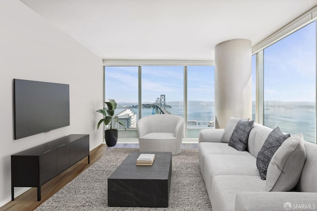 living room with a water view, a wall of windows, and wood-type flooring