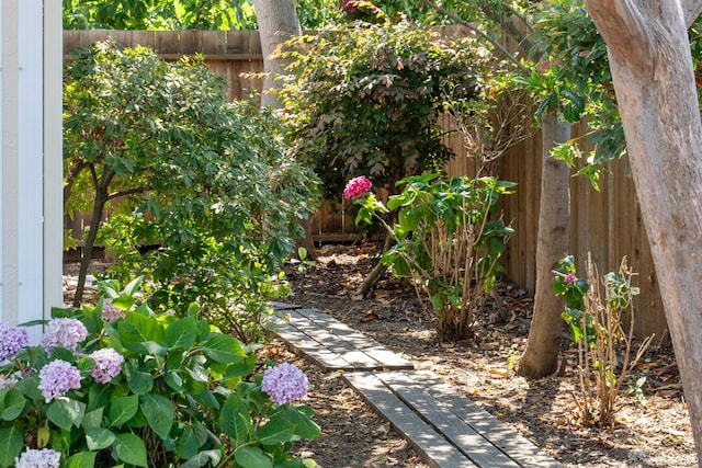 4649 Theta St, Fremont, CA 94536 - view of yard
