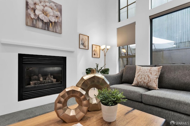 living room featuring hardwood / wood-style flooring and a healthy amount of sunlight