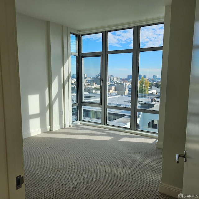 spare room with expansive windows, carpet, and a healthy amount of sunlight