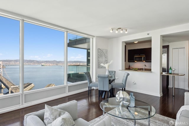 living room featuring a water view and dark hardwood / wood-style flooring