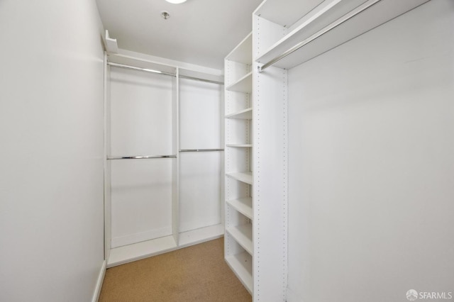 spacious closet featuring light carpet