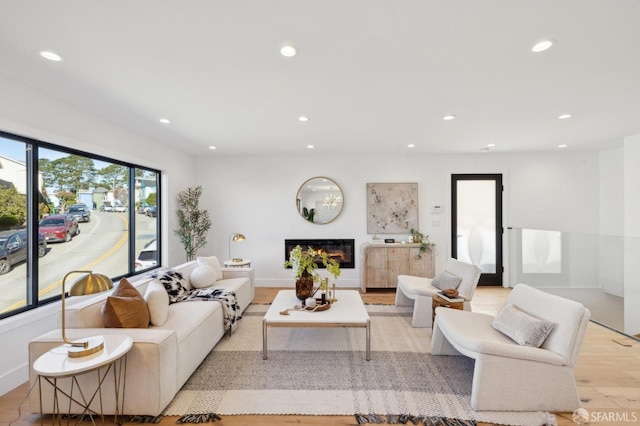 living room with light hardwood / wood-style floors