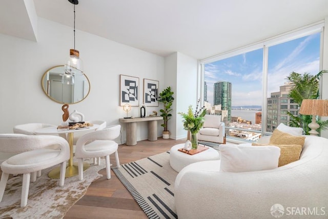 living room featuring light hardwood / wood-style floors and floor to ceiling windows