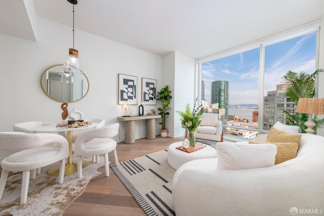 living room with light hardwood / wood-style floors and expansive windows