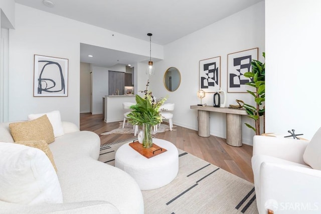 living room with light wood-type flooring