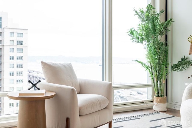 sitting room with hardwood / wood-style flooring