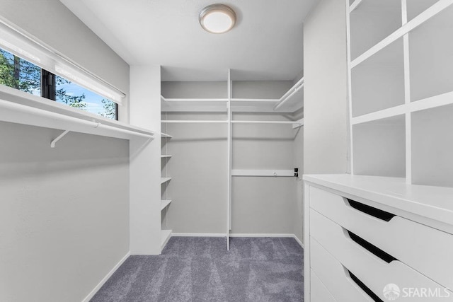 35 Ardilla Rd, Orinda, CA 94563 - walk in closet with carpet