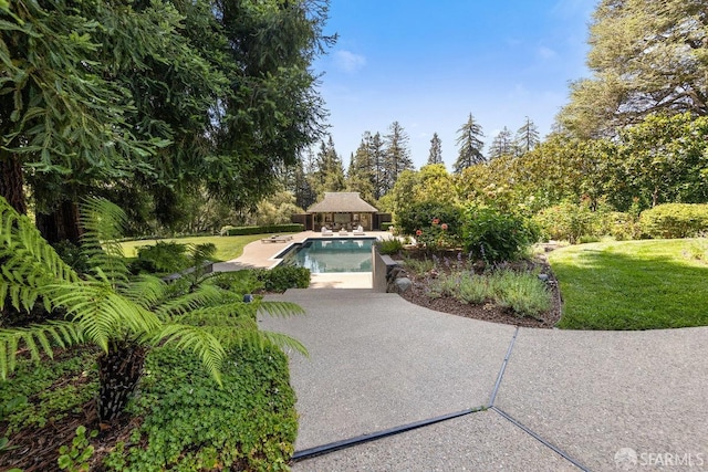 pool featuring a patio area, a storage structure, a yard, and an outbuilding