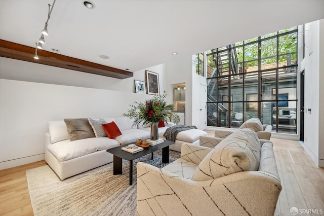 living room with light hardwood / wood-style flooring and rail lighting