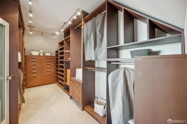 spacious closet with light colored carpet