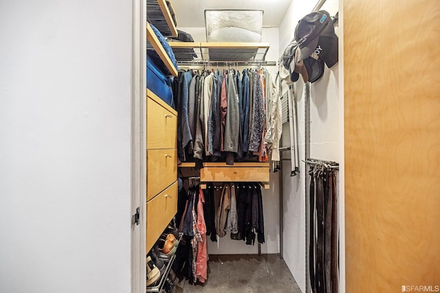 view of spacious closet