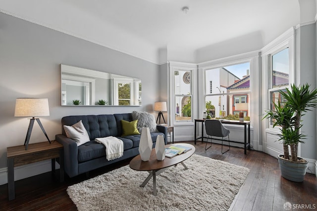 living room with dark wood-type flooring