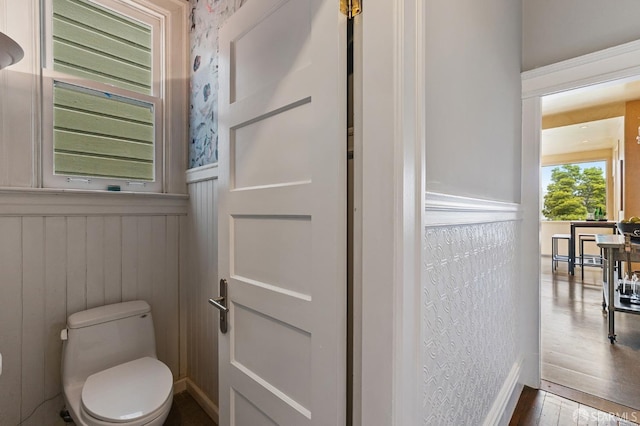 bathroom with hardwood / wood-style floors and toilet