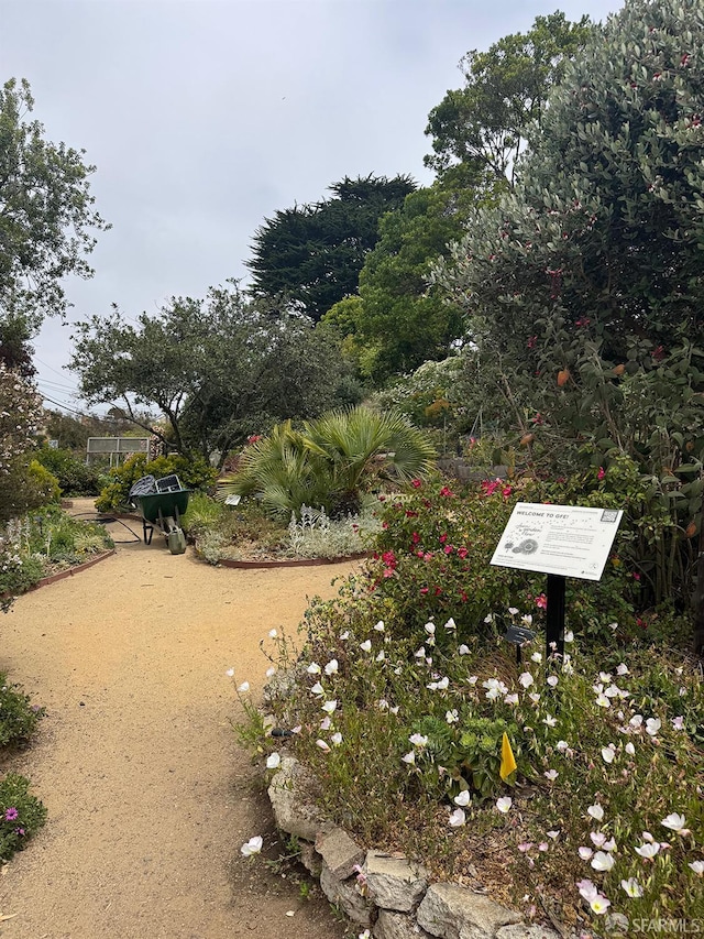 302 Warren Dr, San Francisco, CA 94131 - surrounding community