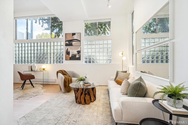 sitting room with light hardwood / wood-style flooring and plenty of natural light