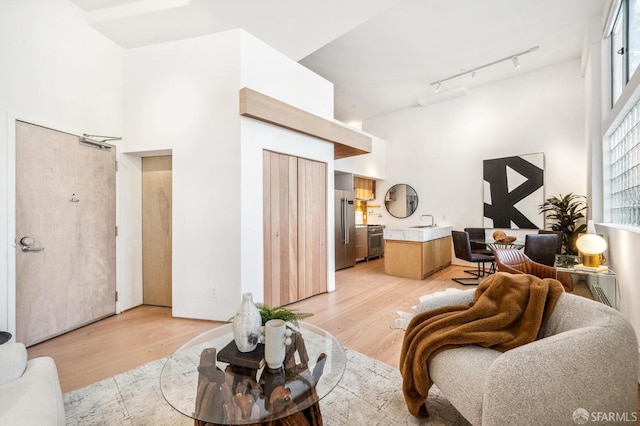 living room featuring light hardwood / wood-style floors, a towering ceiling, sink, and track lighting