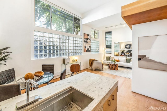 living area with rail lighting, light hardwood / wood-style floors, and sink