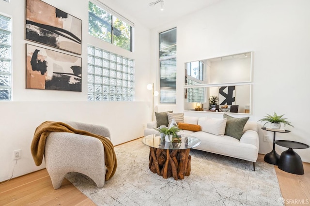 living area with wood-type flooring and track lighting