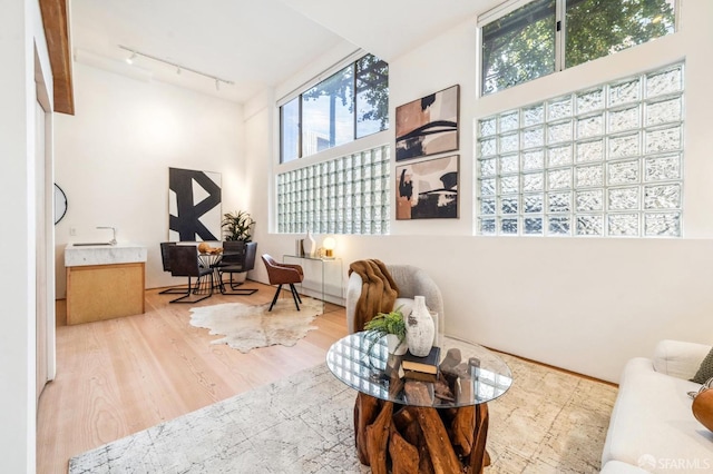 living area featuring hardwood / wood-style flooring, track lighting, and plenty of natural light