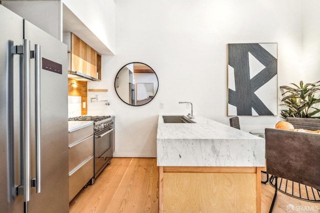 kitchen with sink, premium appliances, and light wood-type flooring