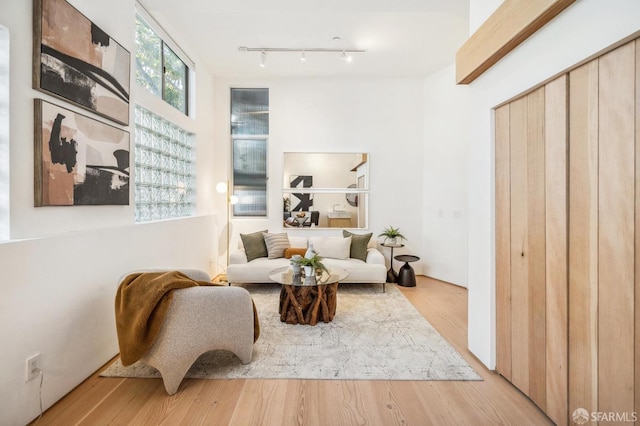 living area with track lighting and light hardwood / wood-style floors