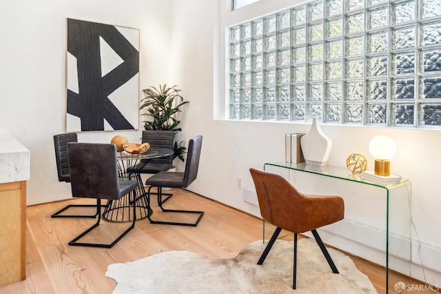 office featuring wood-type flooring