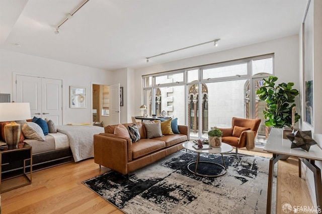 living area featuring track lighting and wood finished floors