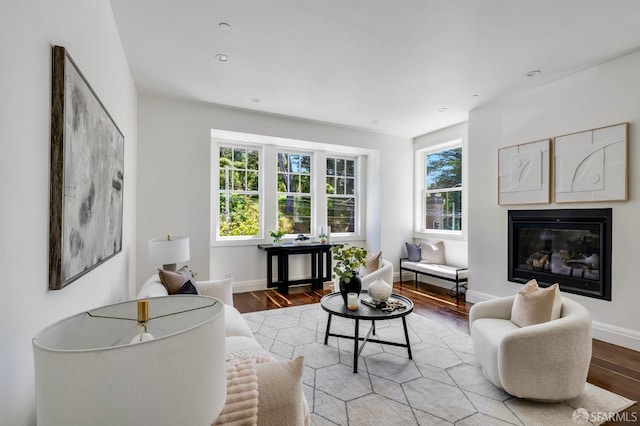 2486 Fulton St, San Francisco, CA 94118 - living area featuring wood finished floors, a glass covered fireplace, and baseboards