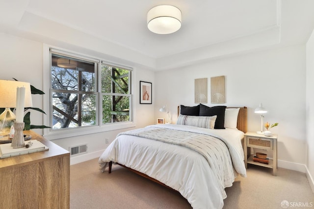 carpeted bedroom with a raised ceiling