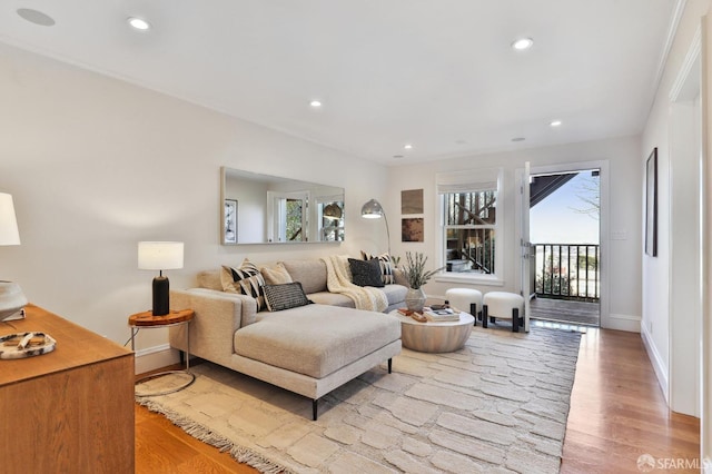 living room featuring light hardwood / wood-style floors