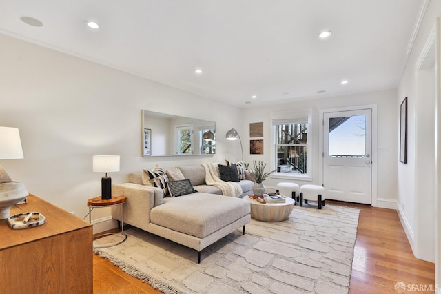 living room featuring crown molding and light hardwood / wood-style flooring