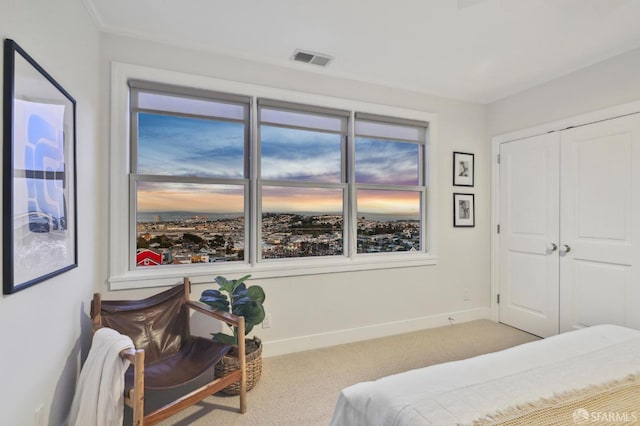 bedroom with carpet floors and a closet