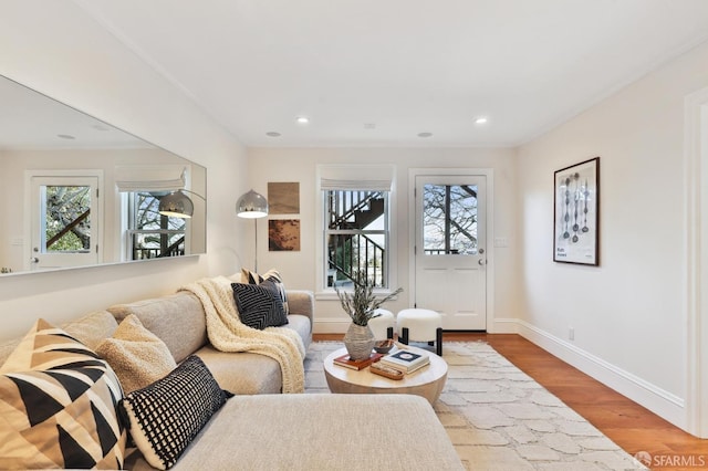 living room with light hardwood / wood-style flooring and plenty of natural light