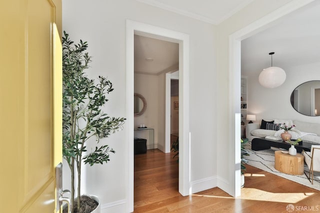 hall featuring hardwood / wood-style floors and ornamental molding