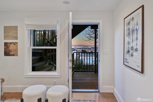 doorway with hardwood / wood-style floors