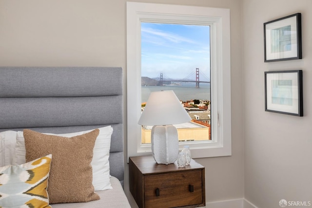 bedroom featuring a water view and multiple windows