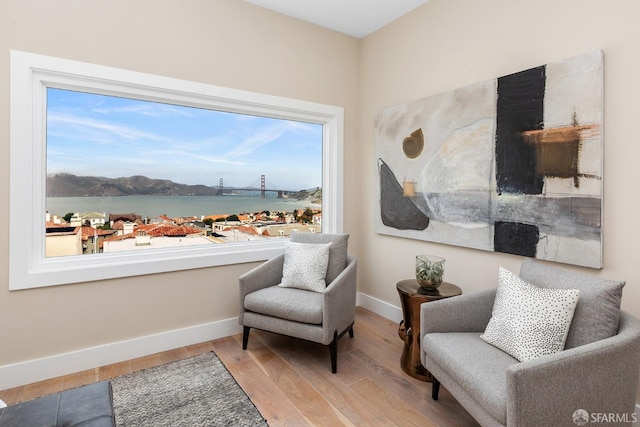 living area with light wood-type flooring and a water and mountain view