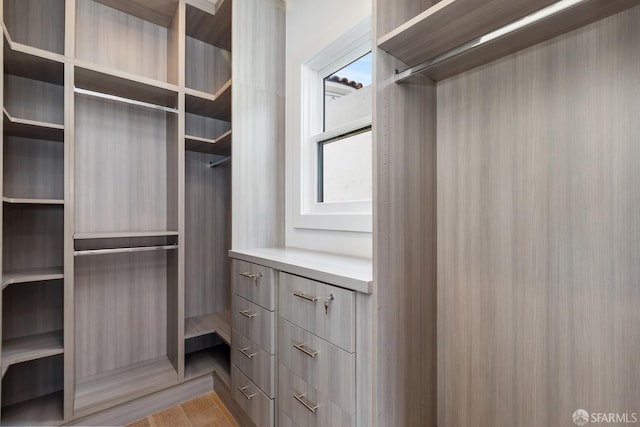 spacious closet with light wood-type flooring