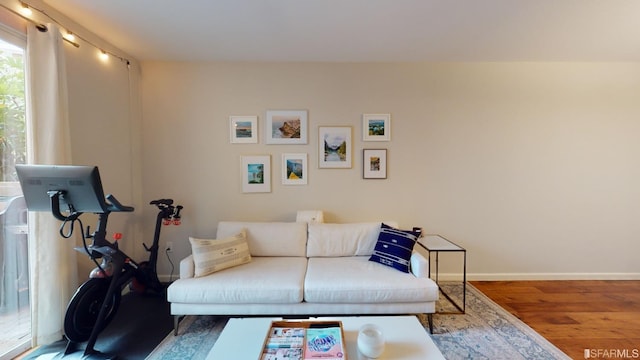 living room with hardwood / wood-style flooring